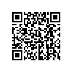 0805J2500333KXT QRCode