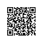 0805J3000100KQT QRCode