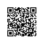 0805J3001P20BQT QRCode