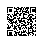 0805J300P400DQT QRCode
