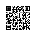 0805J6300222JXR QRCode