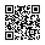 081130801343 QRCode