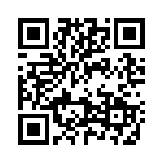 0900317 QRCode