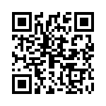 0900333 QRCode