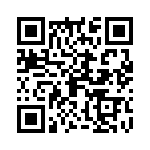 09060005541 QRCode