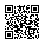 09060480521250 QRCode