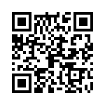 09110006161 QRCode