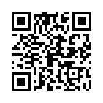 09110006233 QRCode