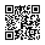 09110013011 QRCode