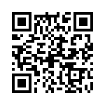 09120063041 QRCode