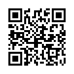 09130077Z QRCode