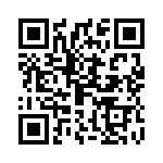 0913113 QRCode