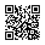 0913171 QRCode