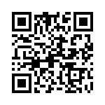 09142060313 QRCode