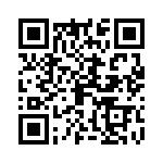 09150006251 QRCode