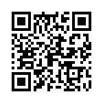 09150006307 QRCode