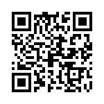 09151172703 QRCode