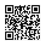 09153005411 QRCode