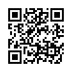 09185106911001 QRCode