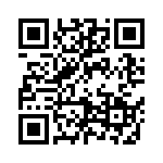 09185106913001 QRCode