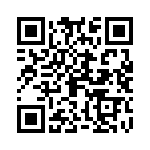 09185206803001 QRCode