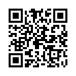 09185346913001 QRCode