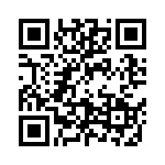 09195207903001 QRCode