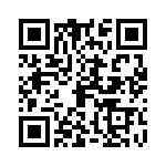 09300009913 QRCode