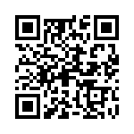 09300160295 QRCode