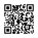 09300241295ML QRCode