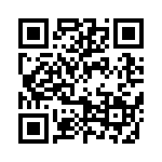 095131009100 QRCode