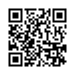 095131009300 QRCode