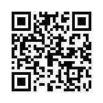 095131009301 QRCode