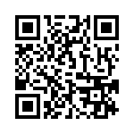 095136309110 QRCode