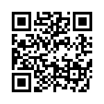 095136309311 QRCode