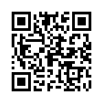 095511009300 QRCode