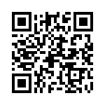 09551663819741 QRCode