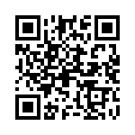 09551666818333 QRCode