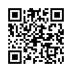 09551667813741 QRCode