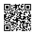 09552663811741 QRCode