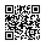 09552663818741 QRCode