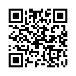 09553566616741 QRCode