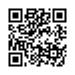 09553666820741 QRCode