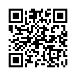 09553667833741 QRCode