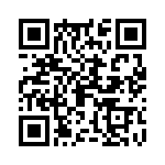 09561004704 QRCode