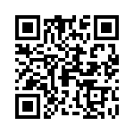 09670150613 QRCode