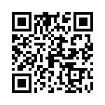 09691009033 QRCode