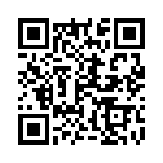 1-1624192-1 QRCode