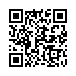 1-1624193-1 QRCode