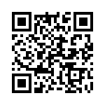 1-1624200-1 QRCode